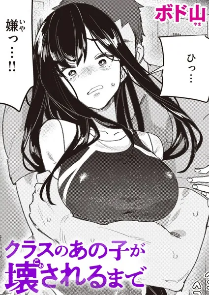クラスのあの子が壊されるまで