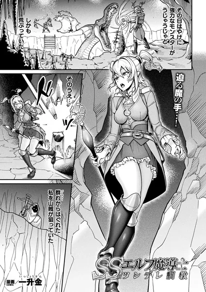 SS級エルフ魔導士 ツンデレ調教【単話】