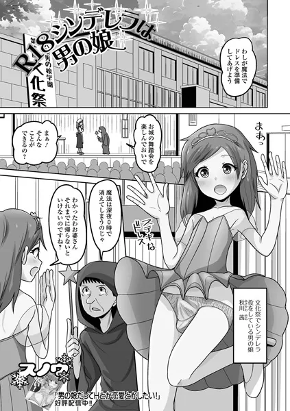 R18シンデレラは男の娘