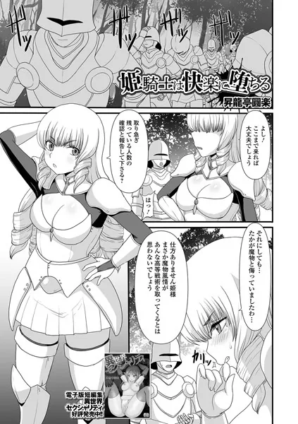 姫騎士は快楽に堕ちる