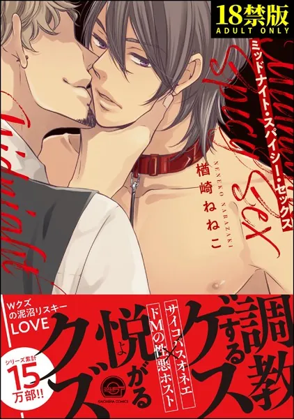 ミッドナイト・スパイシー・セックス【極】 【電子限定かきおろし漫画付】