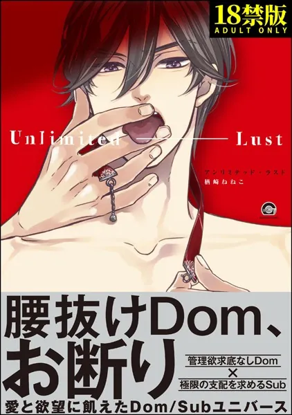 アンリミテッド・ラスト【極】 【電子限定6Pかきおろし漫画付】