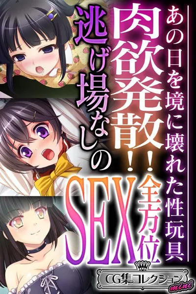 肉欲発散！！逃げ場なしの全方位SEX 〜あの日を境に壊れた性玩具〜【CG集コレクション ミニ】