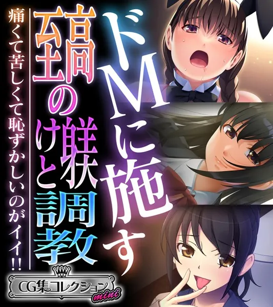 ドMに施す至高の躾けと調教 〜痛くて苦しくて恥ずかしいのがイイ！！〜【CG集コレクション ミニ】