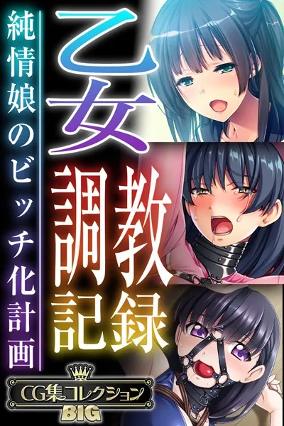 乙女調教記録〜純情娘のビッチ化計画〜【CG集コレクションBIG】