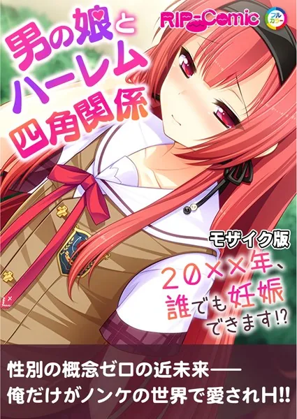 男の娘とハーレム四角関係 〜20xx年、誰でも妊娠できます！？〜 モザイク版