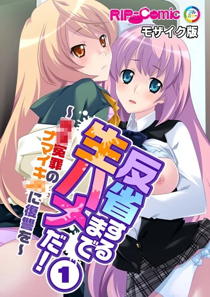 反省するまで生ハメだ！ 〜●●冤罪のナマイキ●●に復讐を〜 （1）モザイク版