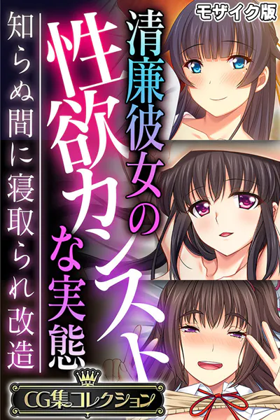 清廉彼女の性欲カンストな実態 〜知らぬ間に寝取られ改造〜【CG集コレクション】 モザイク版
