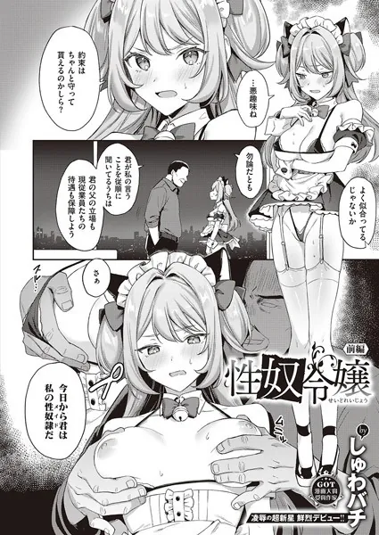 性奴令嬢 〜前編〜