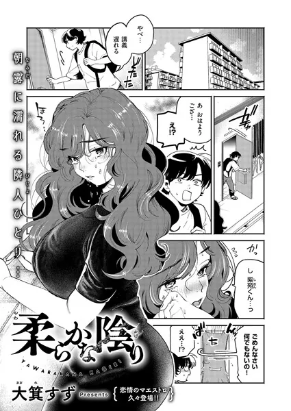 柔らかな陰り