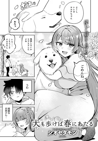 犬も歩けば春にあたる