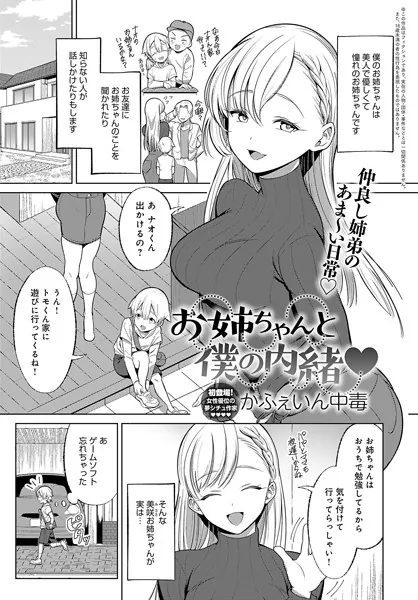 お姉ちゃんと僕の内緒