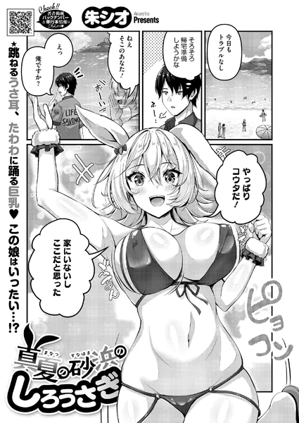 真夏の砂浜のしろうさぎ