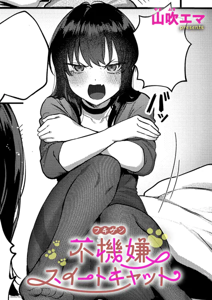 不機嫌スイートキャット