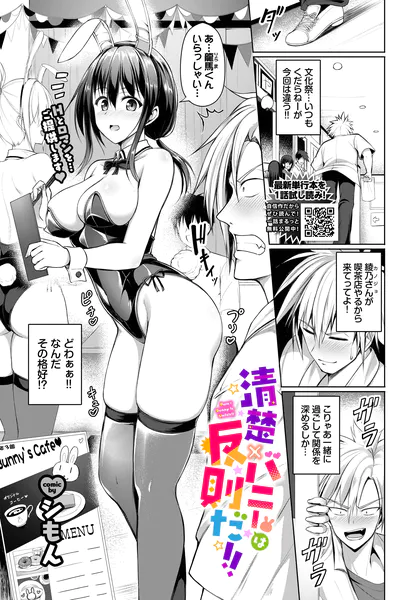 清楚×バニーは反則だ！！