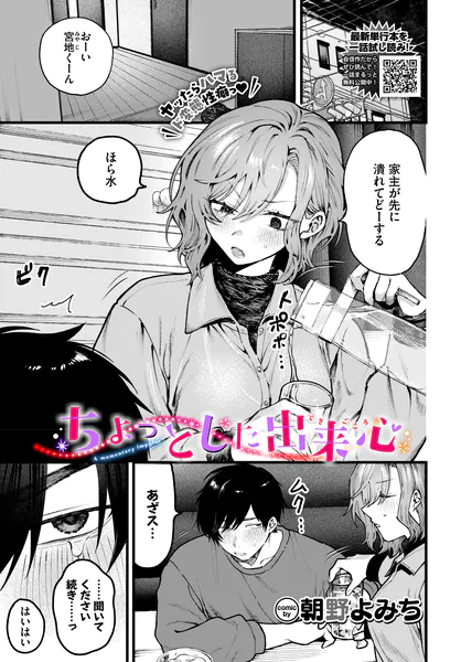 ちょっとした出来心