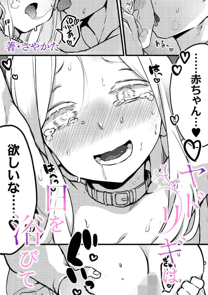 ヤドリギは日を浴びて