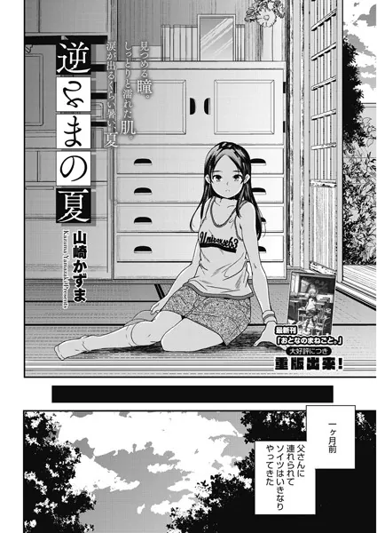 逆さまの夏